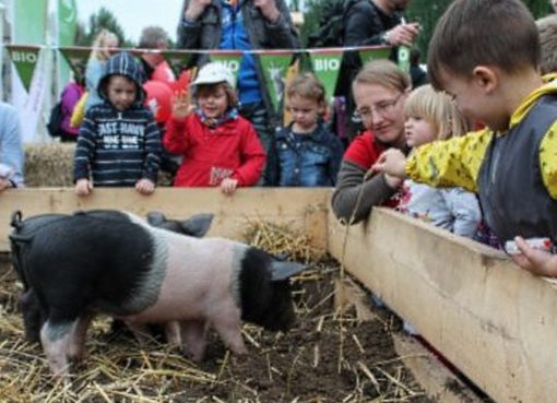 BioSpielBauernhof auf dem Umweltfestival