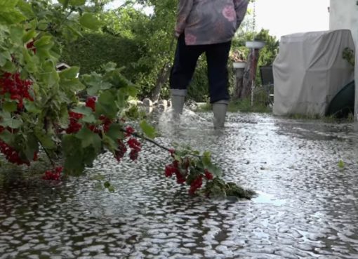 Immer noch Hochwasser in Tegel