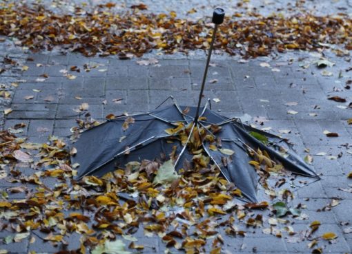 Sturmzerfetzter Regenschirm