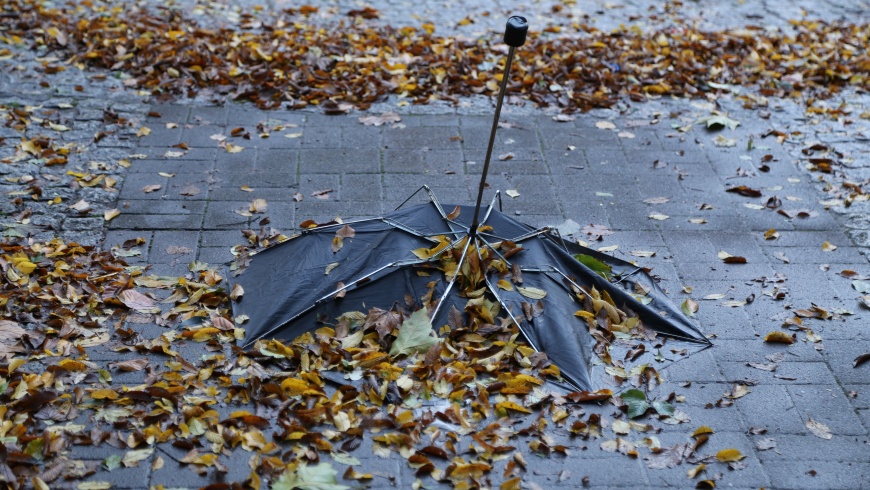 Sturmzerfetzter Regenschirm