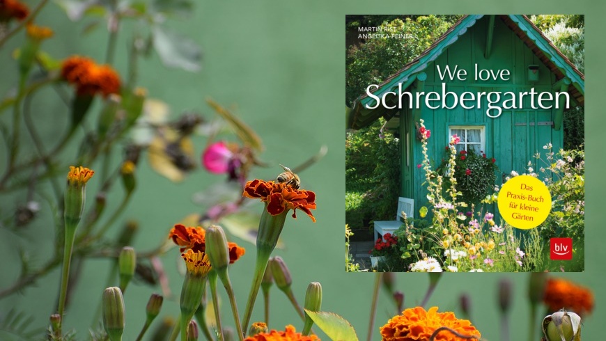 Martin Rist, Angelika Feiner: "We love Schrebergarten!"