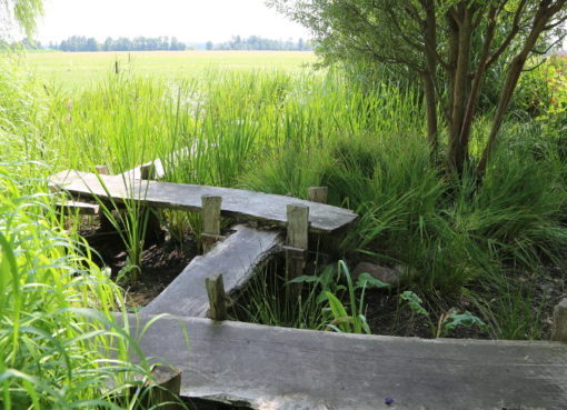 Japanischer Garten