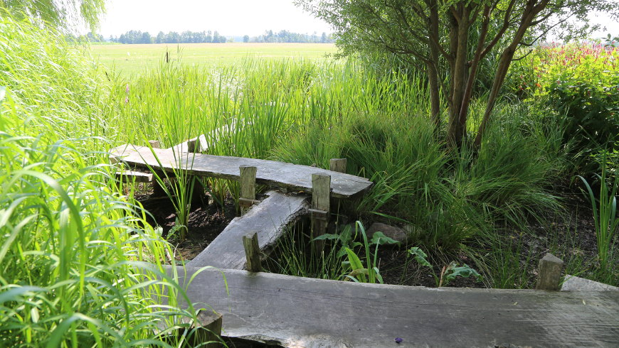 Japanischer Garten