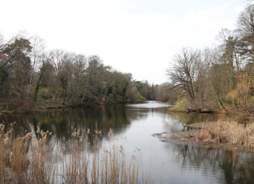 Hubertussee in Grunewald