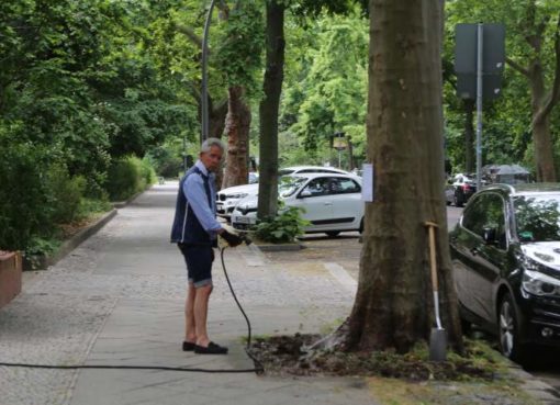 Stadtbäume richtiig bewässern!