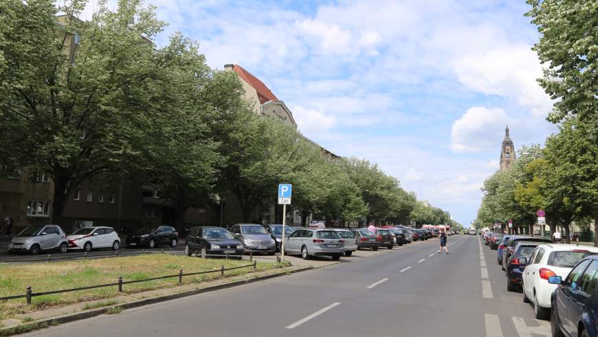 Linden in der Otto-Suhr-Allee