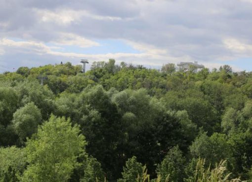 Kienberg mit Wolkenhain