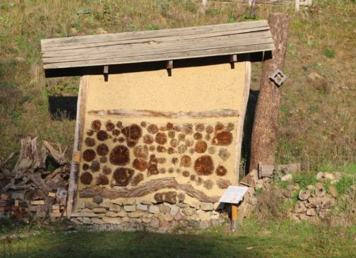 Insektenhotel im Ökowerk Teufelssee