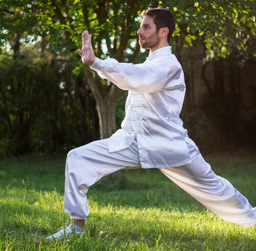 Tai Chi Meister