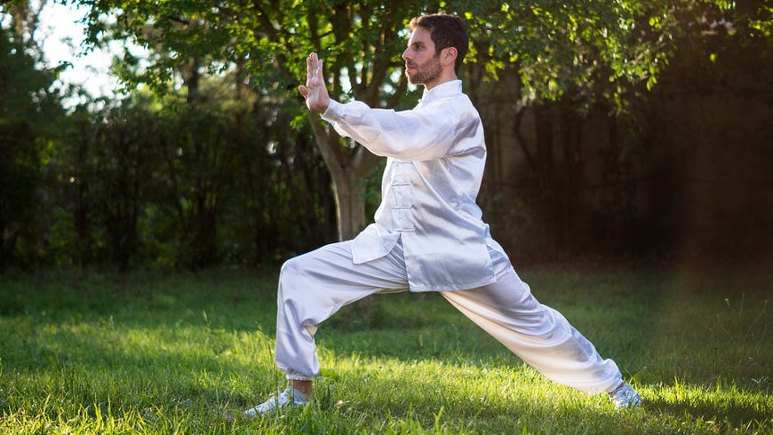 Tai Chi Meister