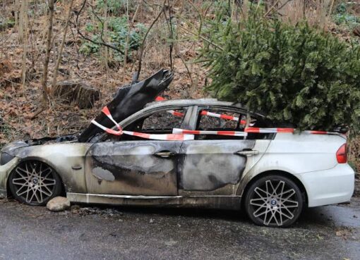 Weihnachtsbaumentsorgung in Berlin