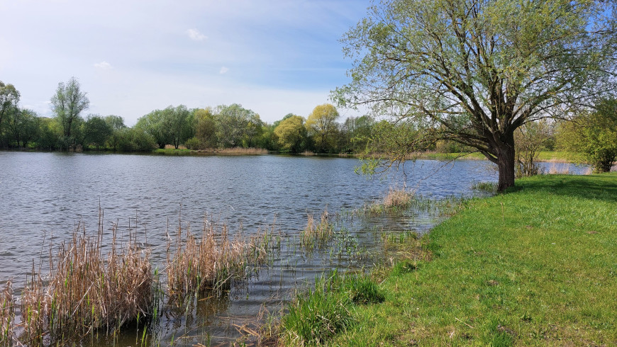 Der Mühlensee in Oberkrämer ist eine Attraktion für Wanderer und Radfahrer.