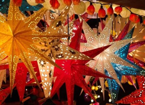 Advents- und Weihnachtssterne auf einem Weihnachtsmarkt