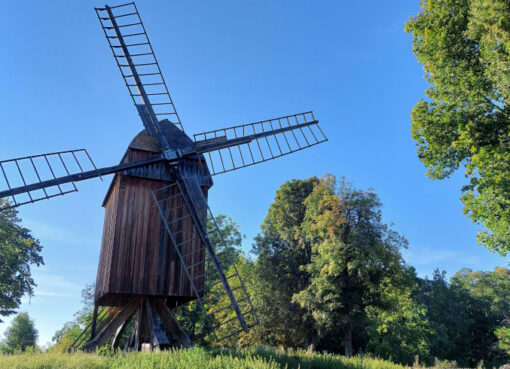 Seit 2008 steht auch in Gatow auf dem Windmühlenberg wieder eine Bockwindmühle.