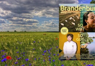 650 Tipps zum Entdecken, Erleben und Entspannen in Brandenburg, Potsdam und Mecklenburg. Foto: Pixabay, Cover: © Cover: Tip Berlin Media Group