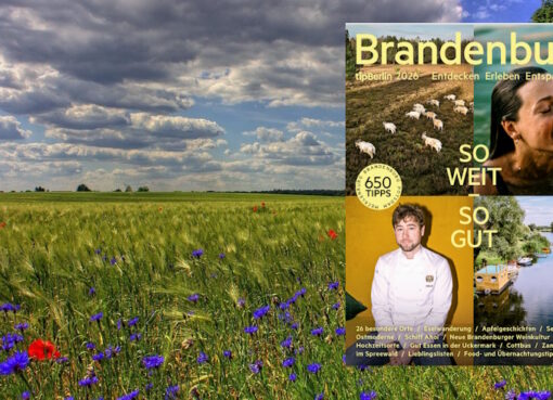 650 Tipps zum Entdecken, Erleben und Entspannen in Brandenburg, Potsdam und Mecklenburg. Foto: Pixabay, Cover: © Cover: Tip Berlin Media Group