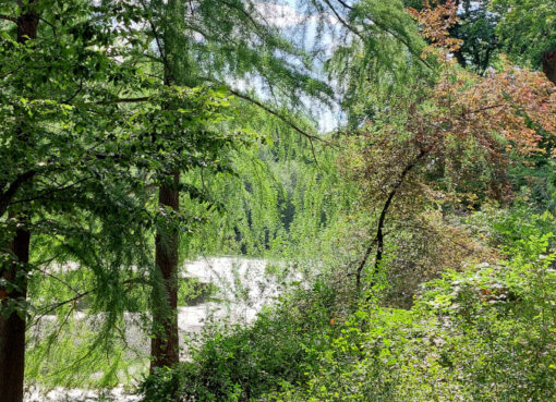 Der Fennsee in Wilmersdorf