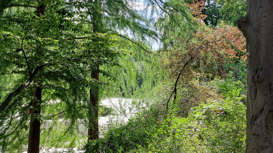 Der Fennsee in Wilmersdorf