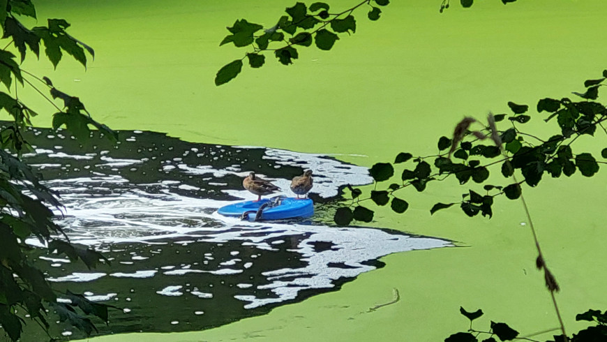 Schwimmkörper der Belüftungsanlagen